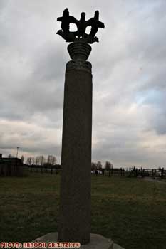 IMG_ (10925)